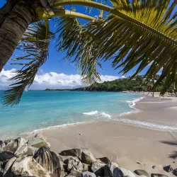 Saint Martin