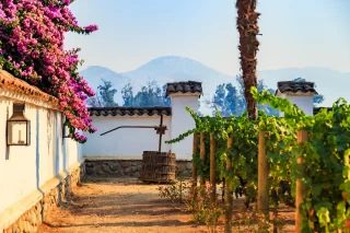 Winery, Maipo valley, the area around Santiago de Chile.