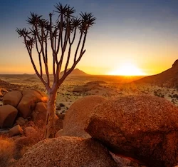 (Damaraland, Namibia)