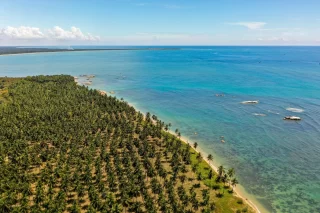 Vista aerea della spiaggia, dell'oceano limpido e delle palme a Pasikuda, Sri Lanka