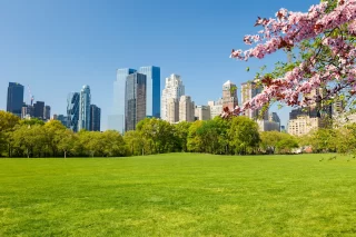 Central park at spring sunny day, New York City