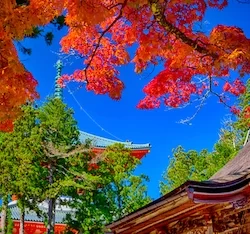 Mount Koya in Japan