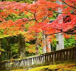 Nikko, Japan.