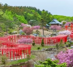 (Thousand torii) at Takayama