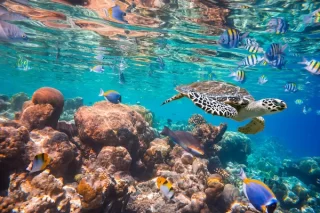 Maldive Oceano Indiano