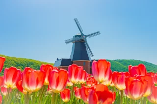 Scenari del Kamiyubetsu Tulip Park a Hokkaido