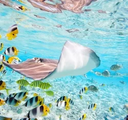 Bora Bora lagoon