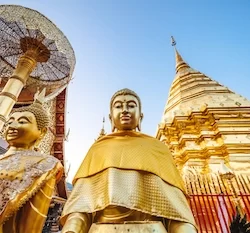 Golden Buddha statues