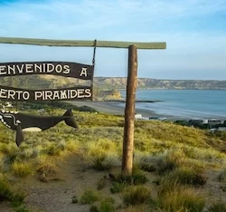 puerto madryn, chubut province