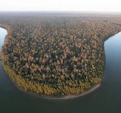 Atchafalaya Basin Louisiana