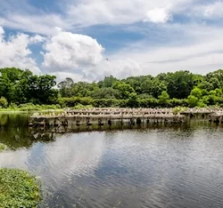 Avery Island Louisiana