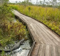Barataria Preserve Louisiana