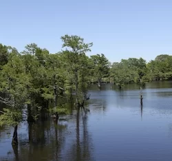 Black Bayou Lake National Wildlife Refuge Visitor Center Lousiana