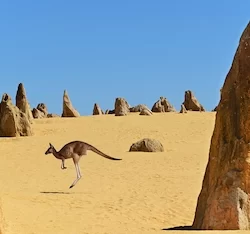 Cervantes (Deserto dei Pinnacoli) Australia