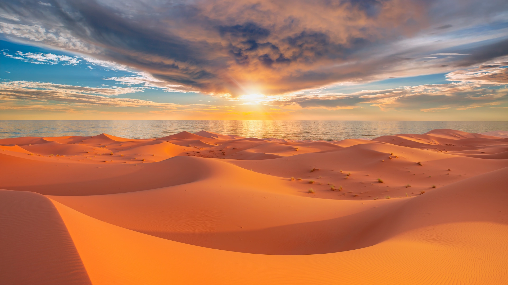 Africa Australe