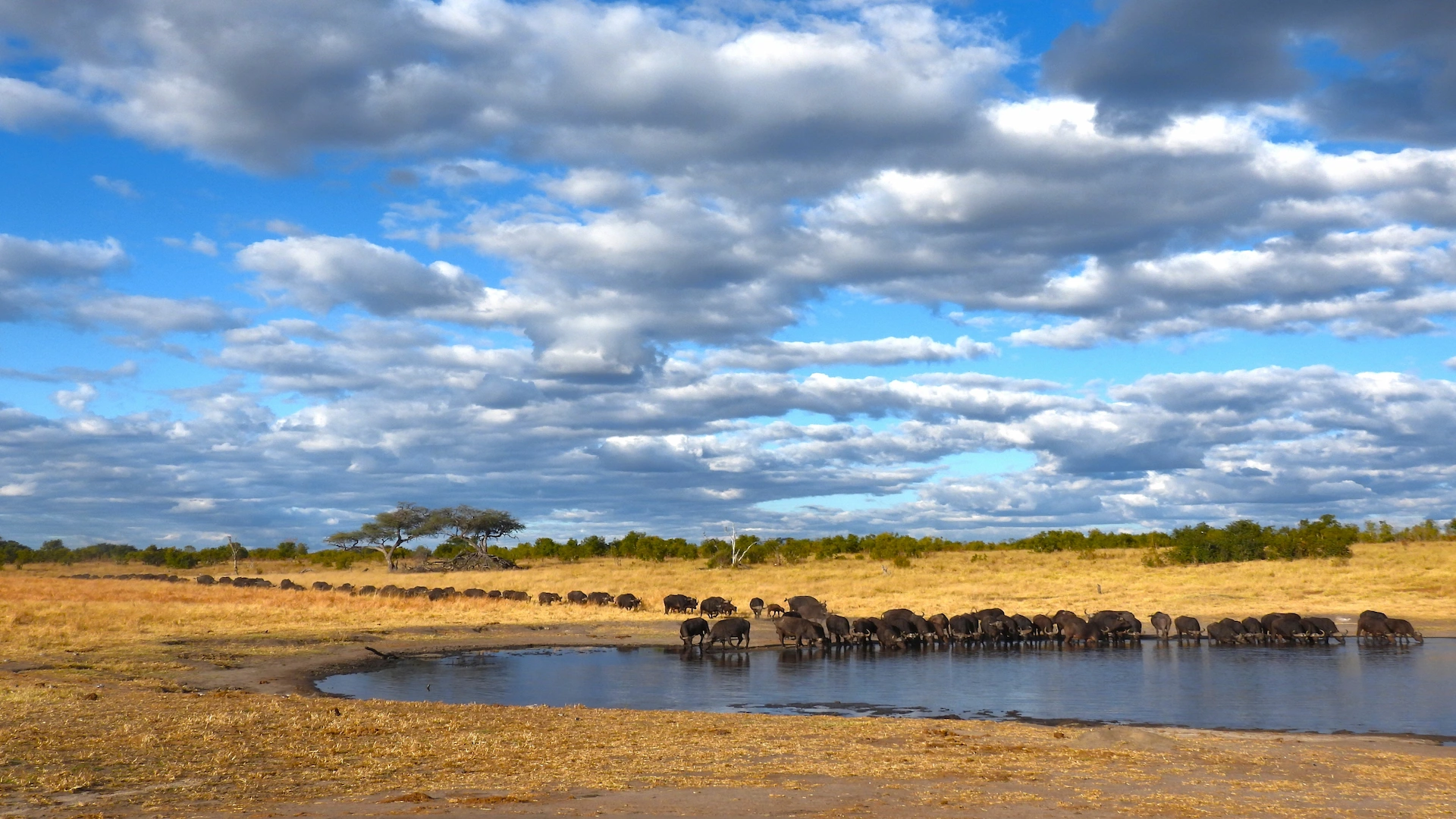 Zimbabwe