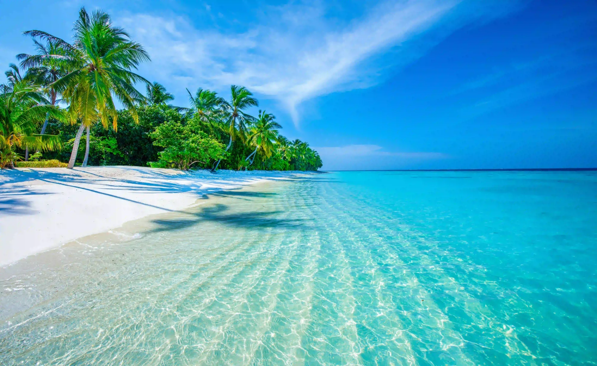 Caraibi