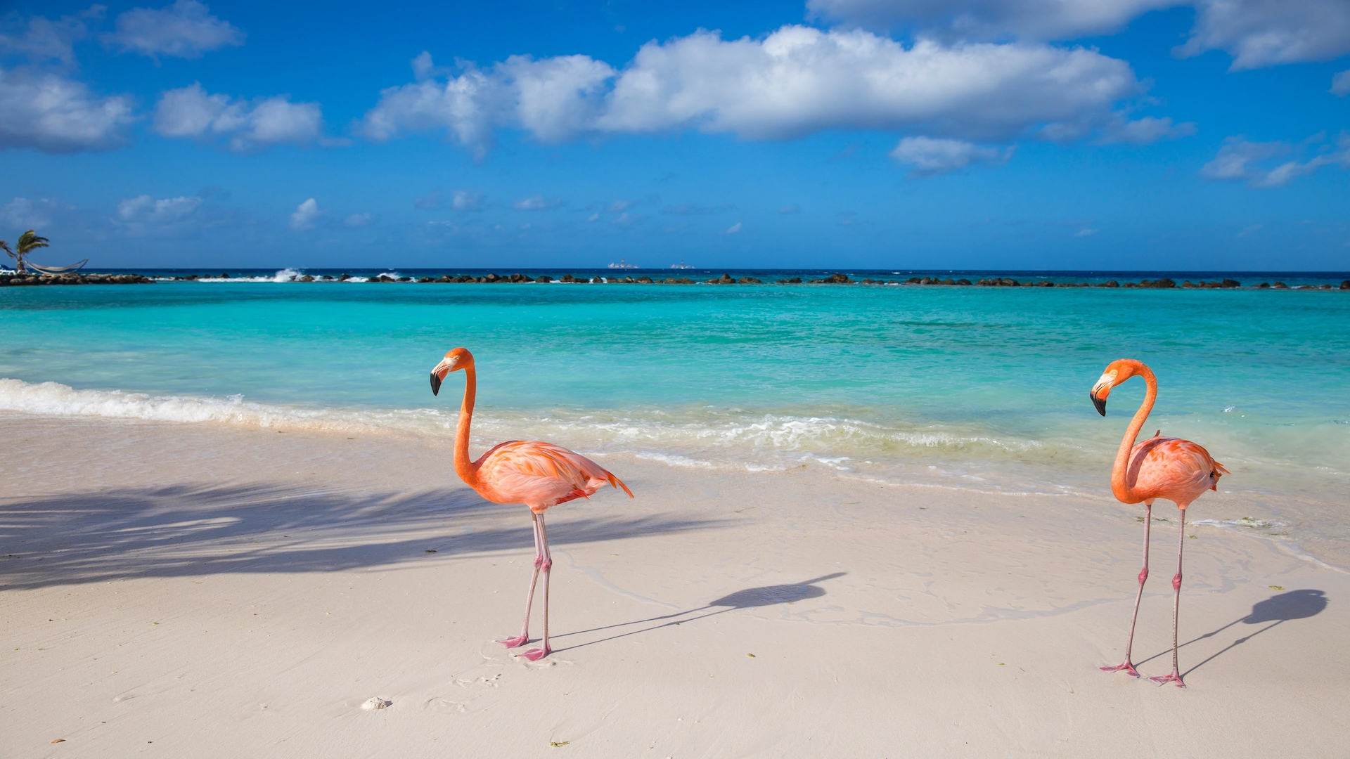 Aruba