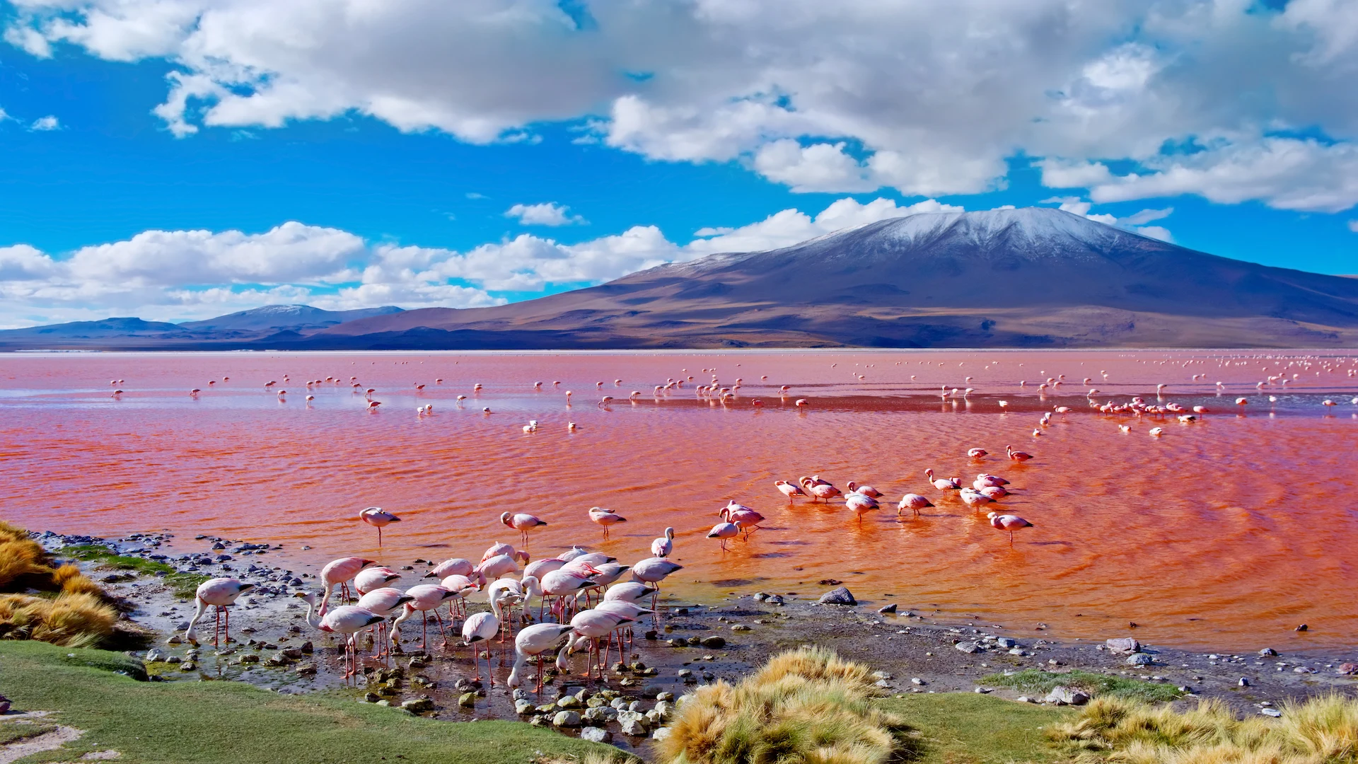 Bolivia
