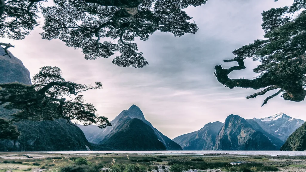 Milford Sound, paesaggio spettacolare nella zona dei fiordi della Nuova Zelanda, Isola del Sud | Tour Nuova Zelanda Southern Cross