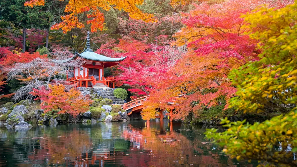 Tempio Daigo-ji con aceri colorati in autunno, Kyoto, Giappone | Tour Anima Giapponese 2026: un'esclusivo tour di gruppo in Giappone Alidays