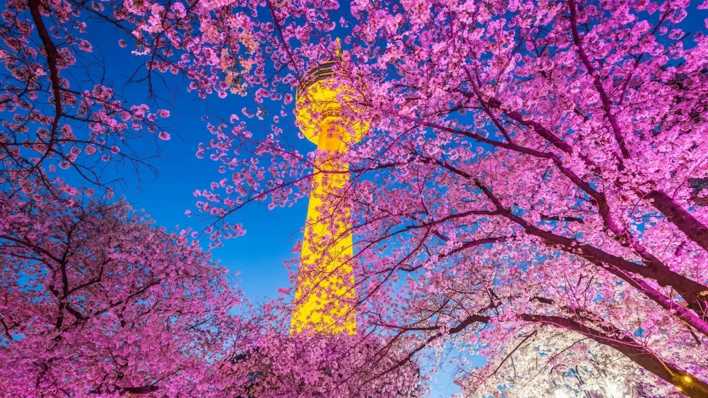 Daegu Corea del Sud | Tour Essenze di Corea: itinerario Corea del Sud 9 giorni