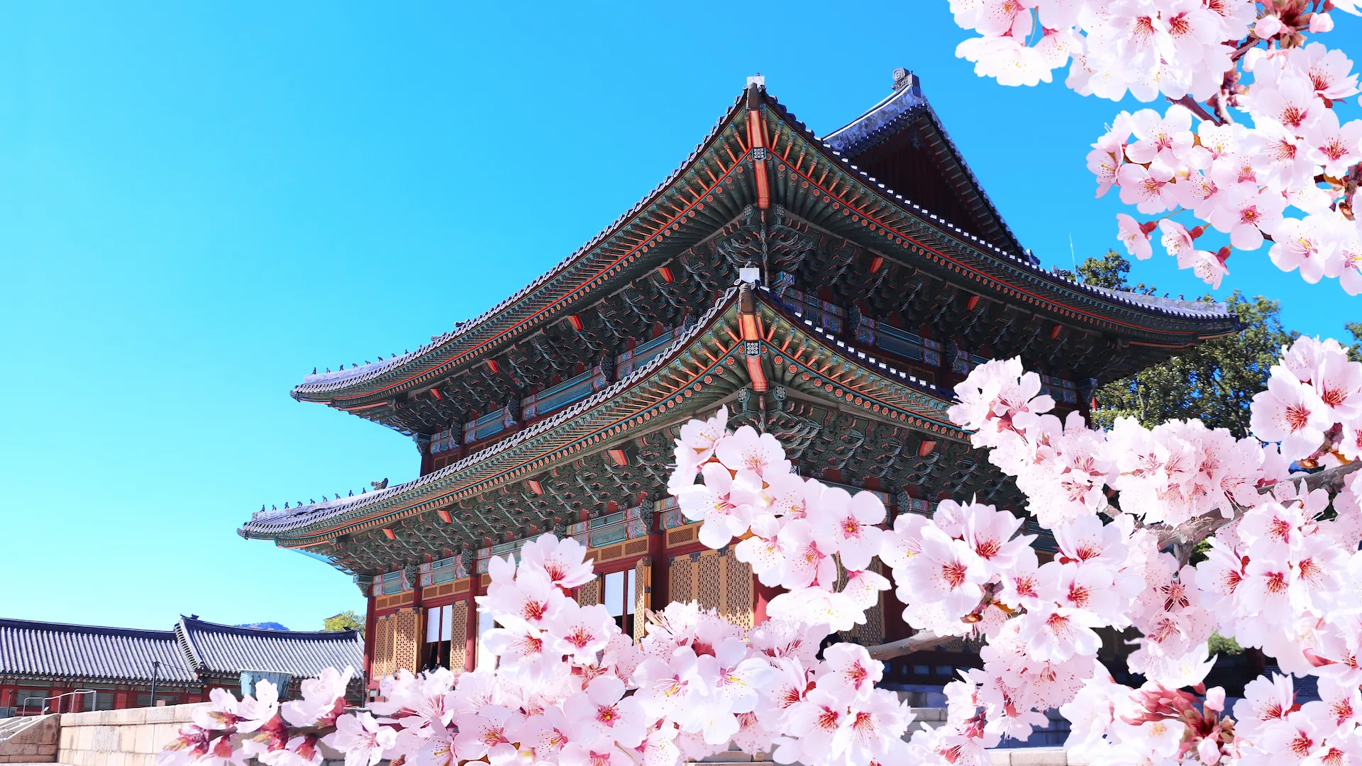 Tour Corea del Sud