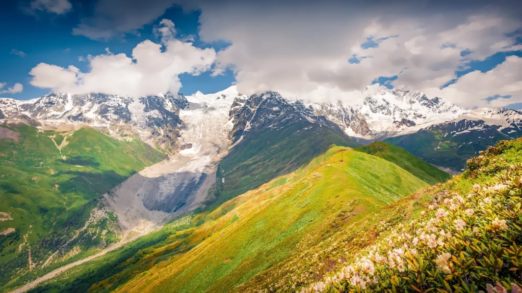 Veduta panoramica pomeridiana di rododendri bianchi in fiore sulle montagne del Caucaso in Georgia | Viaggio di gruppo in Georgia e Armenia | Esclusiva Alidays Travel Experience