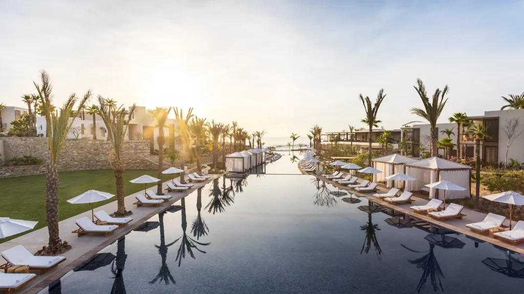 Embark on the Agave Journey Messico Los Cabos