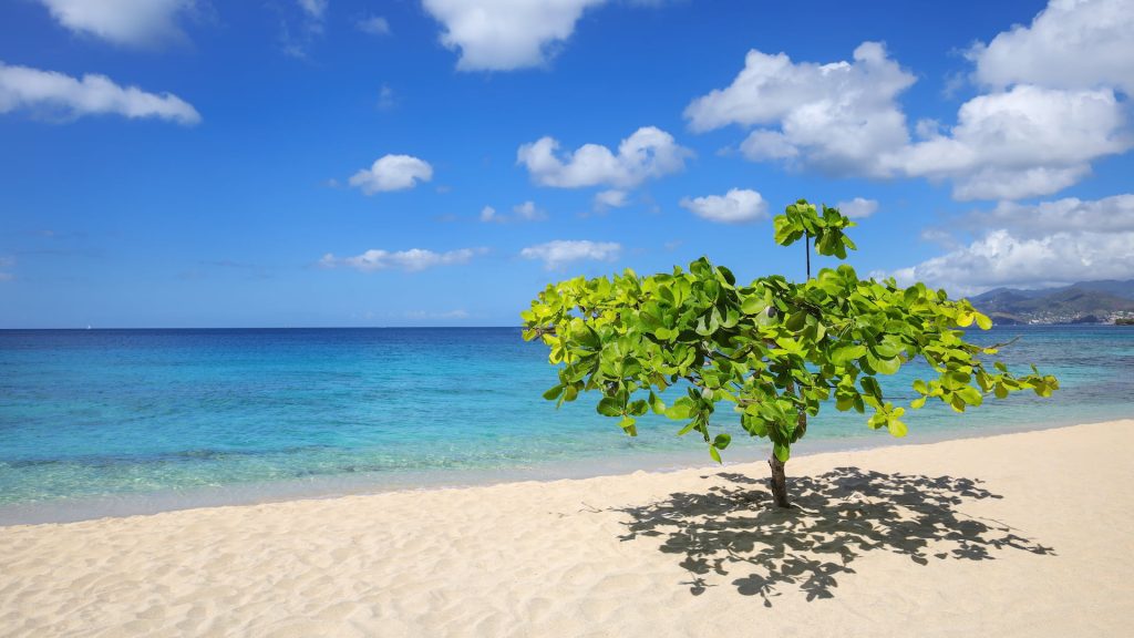 Magazine Beach, isola di Grenada | Viaggio New York, Grenada e Miami | Alidays Travel Experience