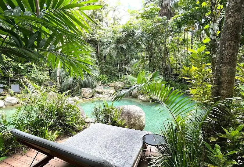 Rainforest Waterfall Escape Daintree National Park