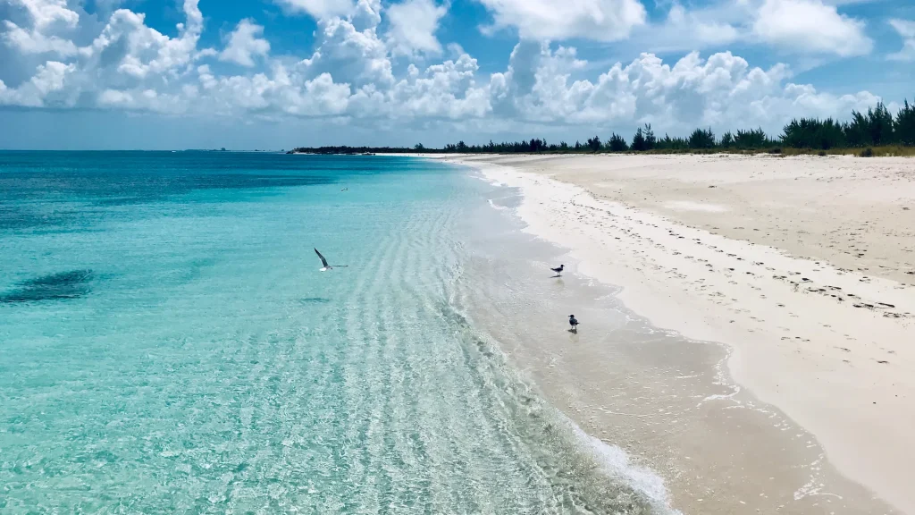 Spiaggia di Turks & Caicos | Vacanza a Turks & Caicos, una delle destinazioni più esclusive dei Caraibi | Alidays Travel Experience