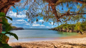 Una giornata pittoresca in spiaggia a Columbus Cove, Ocho Rios, in Giamaica