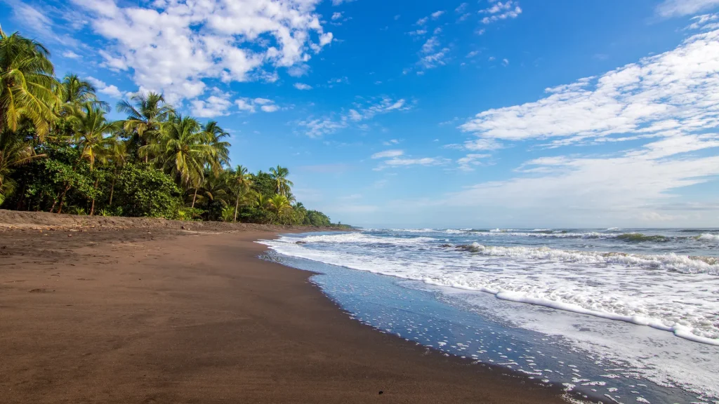 Veduta di una spiaggia nel Parco Nazionale Tortuguero de Sirenio Fernando Hernández