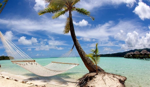Hammock relax