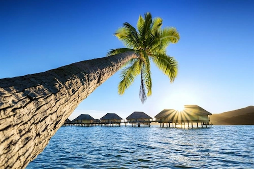 Resort beach view