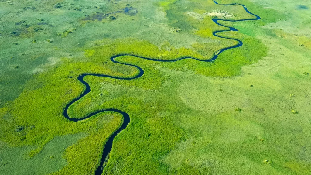 Delta dell'Okavango | Tour Botswana autentico in lodge 3*/4* by Kiboko | Alidays