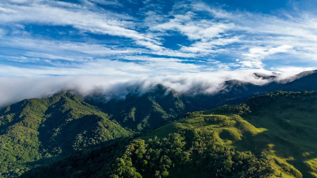 Foresta alle pendici degli altopiani di Chiriquí, zona del vulcano Barú, Panama, America Centrale