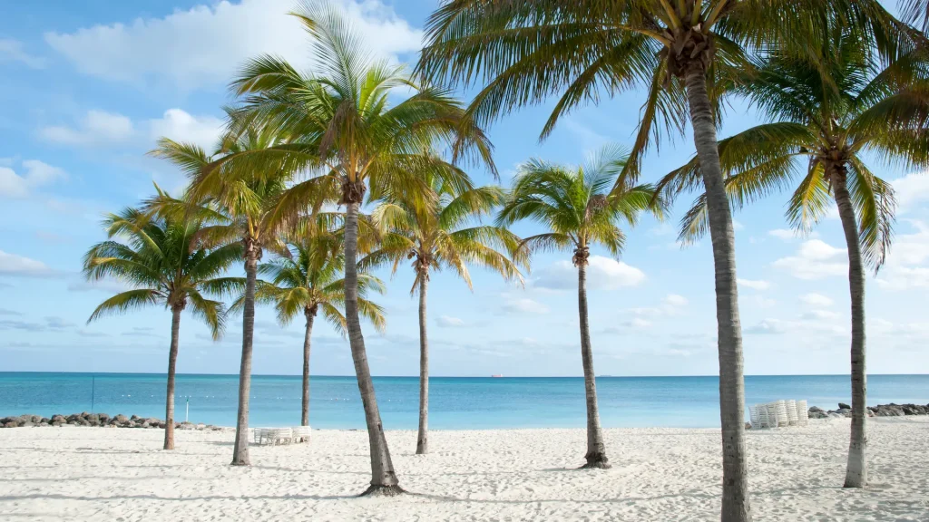 La spiaggia deserta di Lucaya, con le palme, nel tardo pomeriggio a Grand Bahama | Viaggio New York e Grand Bahama | Alidays