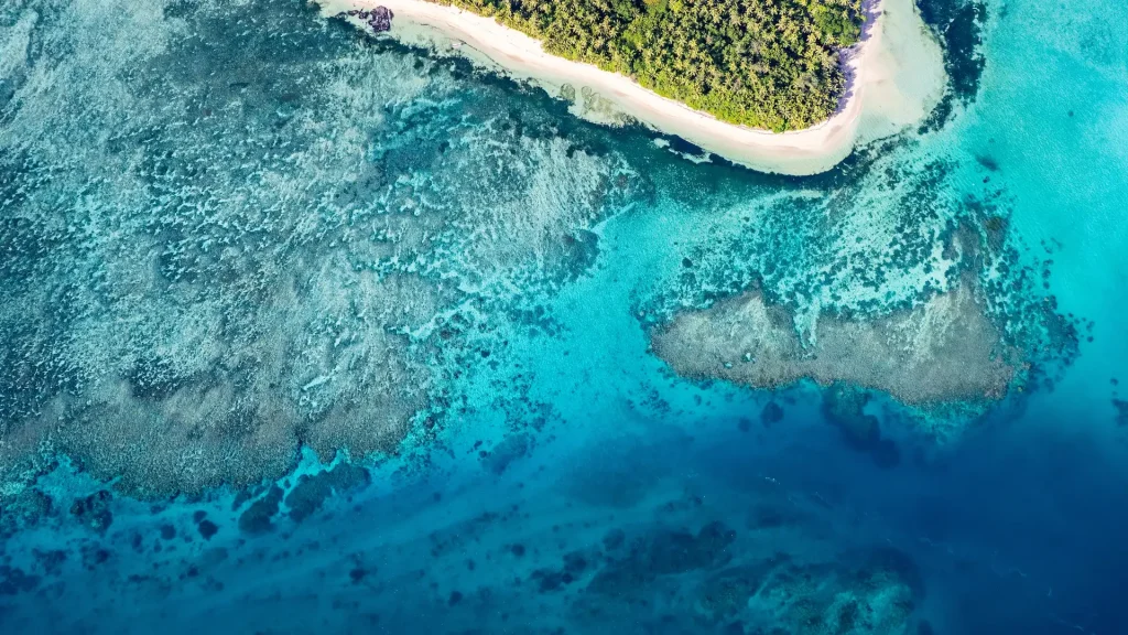 Le palme costeggiano una spiaggia di sabbia bianca alle Fiji, meta ideale per una vacanza da sogno | Alidays Travel Experience