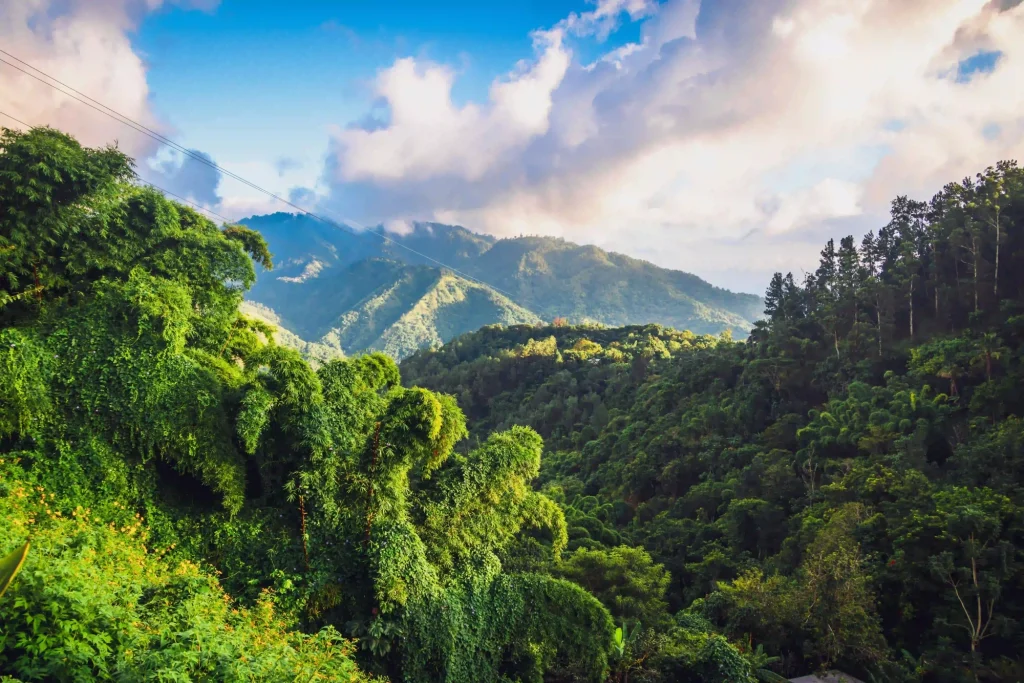 Blue Mountains in Giamaica | Viaggio Miami e Giamaica: dalle atmosfere glamour di Miami alla scoperta dell'isola del reggae | Alidays