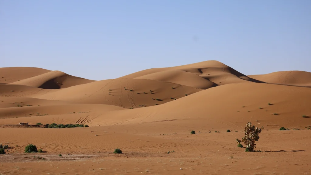 Dune del deserto del Sahara marocchino e lago di Erg Chegaga | Tour 3 giorni Sahara off road e Oasi: avventura nel deserto tra paesaggi incontaminati | Alidays Travel Experience