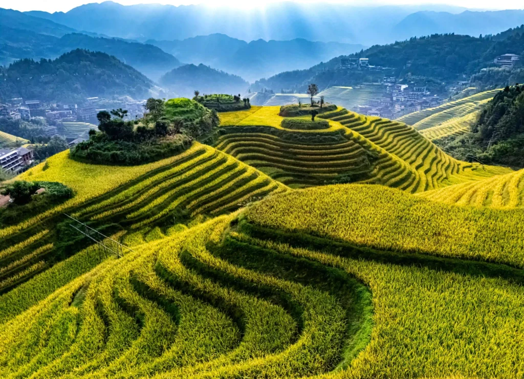 Vista aerea delle terrazze di riso di Longsheng nella regione del Guangxi, Cina | Tour Cina 10 giorni Antiche meraviglie e paesaggi incantati | Alidays