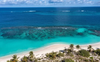 Aerial view of the turquoise waters and palm trees along Shoal Bay Beach in Anguilla.