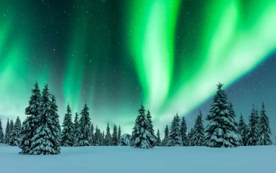 Aurora borealis. Northern lights in winter forest