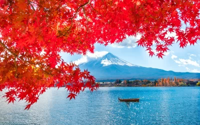 Autumn at Fuji mountain,Japan