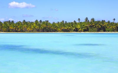Viaggio a Barbados
