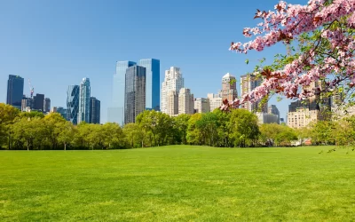 Primavera a New York City | Central Park at spring sunny day