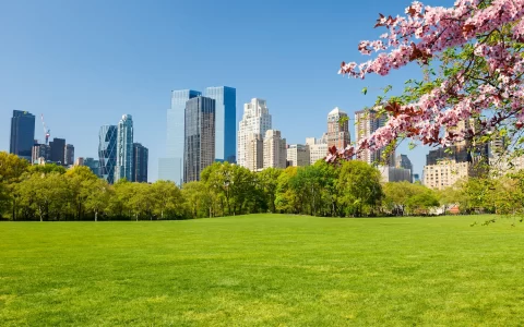 Central park at spring sunny day, New York City