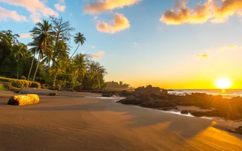 Tramonto tropicale lungo la costa del Pacifico del Costa Rica con sagome di palma all'interno del Corcovado National Park nella penisola di Osa, America Centrale.